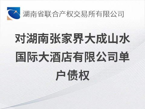 对湖南张家界大成山水国际大酒店有限公司单户债权(国资监测编号GR2026HN1002885)