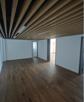 广东深圳福田区石厦北二街西新天世纪商务中心C座4501室招租项目公告(国资监测编号GR2026JS4003239)