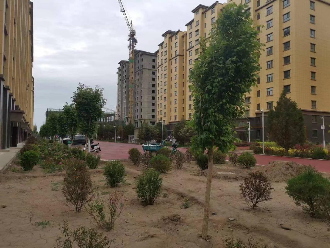 甘肃省酒泉市瓜州县玄奘大道南侧、瓜州大道东侧“创新小镇”部分住宅转让公告（第八次）