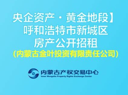 呼和浩特市新华广场尚华酒店一层商铺北数13号（年租金6.9万元）（内蒙古金叶投资有限责任公司）(国资监测编号GR2026NM1003694)