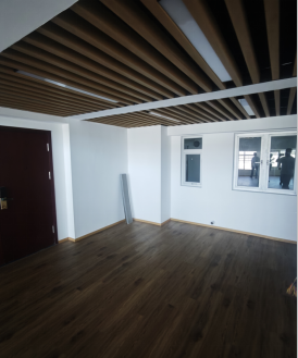 广东深圳福田区石厦北二街西新天世纪商务中心C座4501室招租项目公告(国资监测编号GR2026JS4003239)