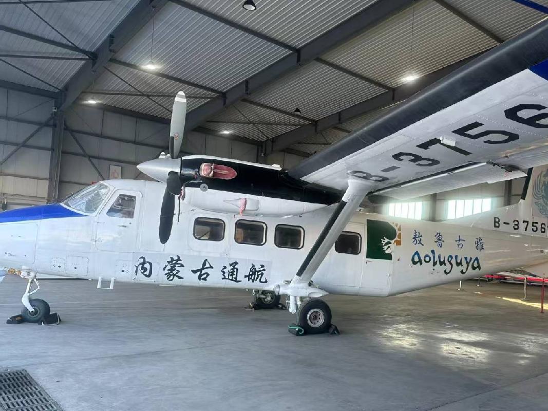 两架通用Y12-E型飞机整体出租（年租金底价2744800元，租期3年）(国资监测编号GR2026NM1003731)
