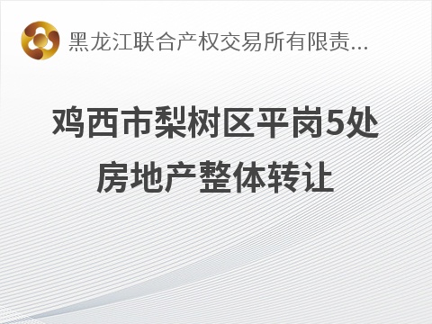 [鸡西市]鸡西市梨树区平岗5处房地产整体转让交易公告