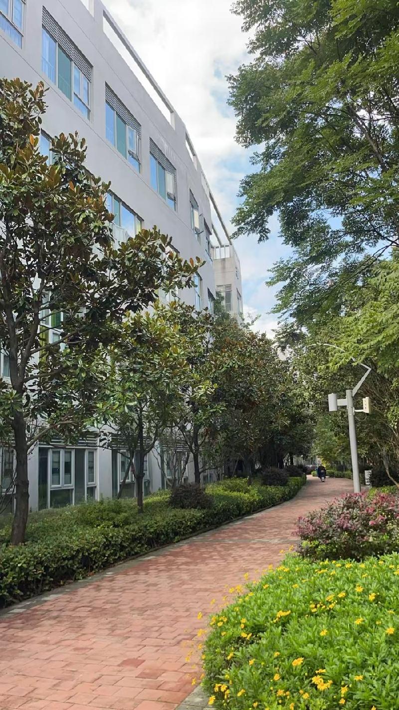 云南省昆明市世博里2幢和3幢房屋租赁(国资监测编号GR2026YN1000561)