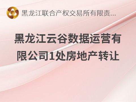 黑龙江云谷数据运营有限公司1处房地产转让交易公告(国资监测编号GR2026HL2004993)