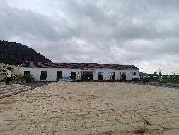 无为市开城镇都督村创富中心咖啡店及星空露营基地出租公告