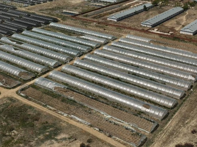 北屯双渠国有资产经营管理有限公司租赁位于北屯市一八三团黑木耳种植基地19座拱棚(国资监测编号GR2026XJ1001672)