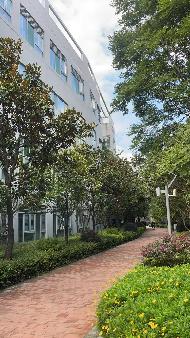 云南省昆明市世博里2幢和3幢房屋租赁(国资监测编号GR2026YN1000561)