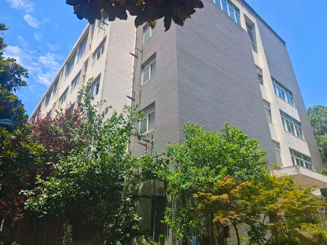 芜湖市湾沚区芜湖南路与荆山河路交叉口原湾沚区党校南楼房产出租公告(国资监测编号GR2026AH2002215)