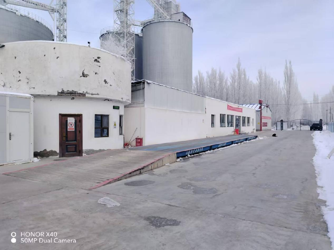 新疆农鑫农悦农业有限公司位于73团粮食仓储物流基地：玉米烘干加工厂、生产线设备及配套库房对外招租，租期一年