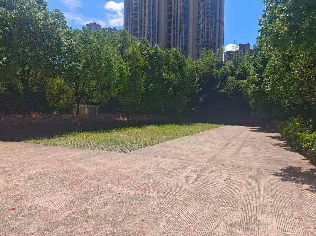 芜湖市湾沚区芜湖南路与荆山河路交叉口原湾沚区党校南楼房产出租公告(国资监测编号GR2026AH2002215)