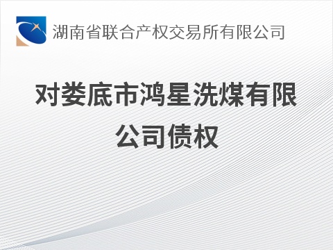 对娄底市鸿星洗煤有限公司债权(国资监测编号GR2026HN1002962)