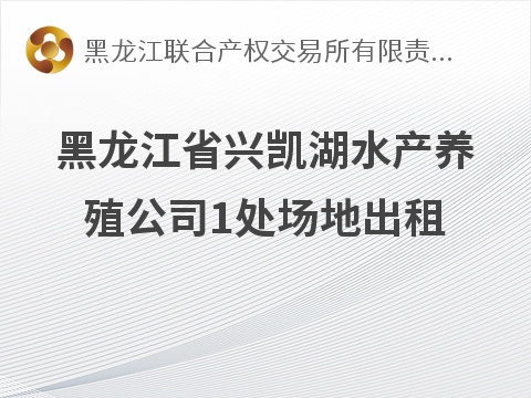 黑龙江省兴凯湖水产养殖公司1处场地出租交易公告(国资监测编号GR2026HL2005069)