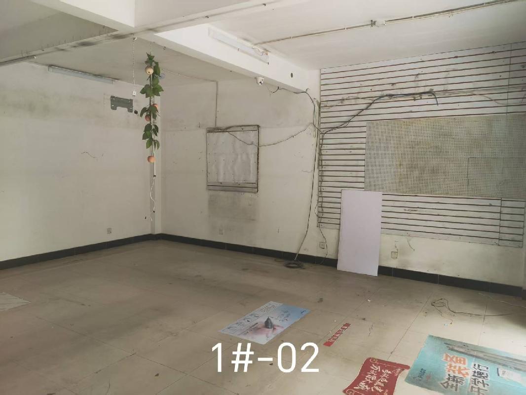 常州市钟楼区中吴大道1801号北苑1#-02商铺招租公告(国资监测编号GR2026JS2003344)