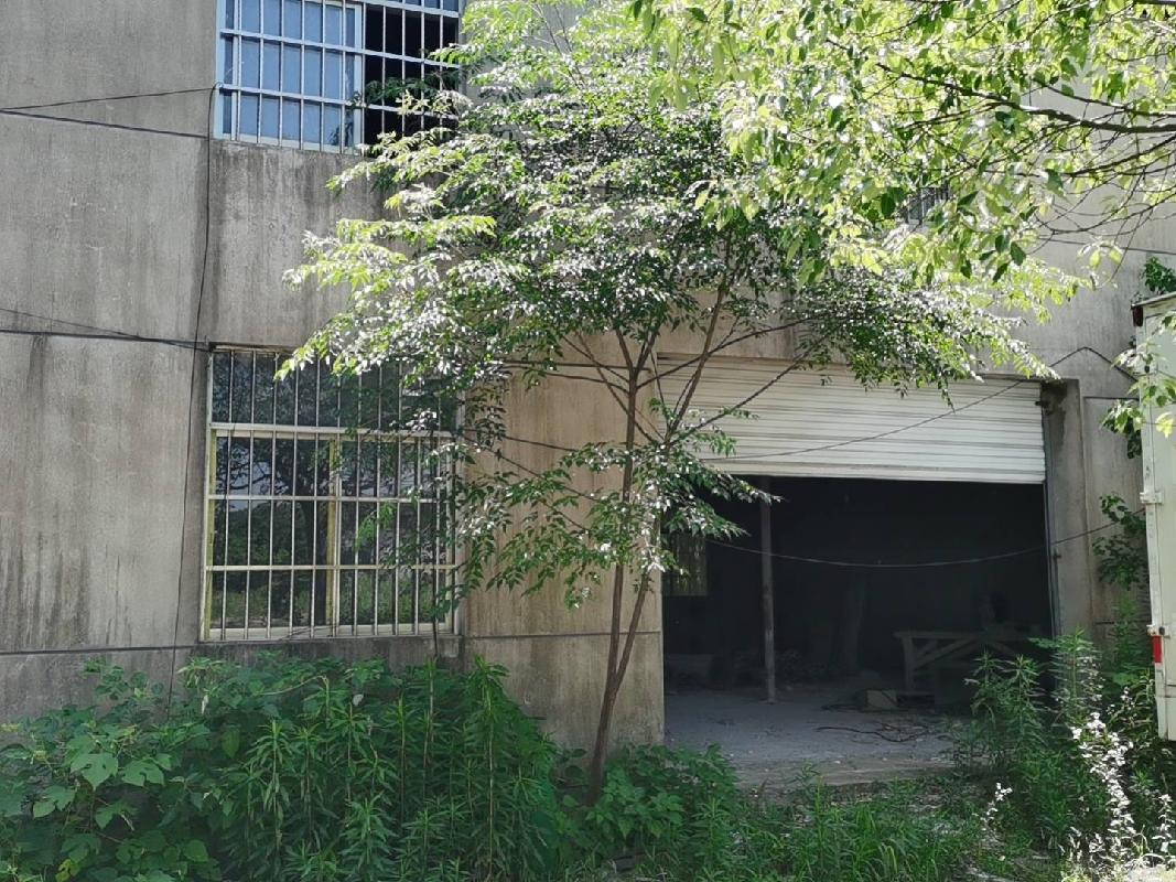 衢江区樟潭街道戚家村徐家坟头房屋及场地（原养猪场）公开挂牌招租