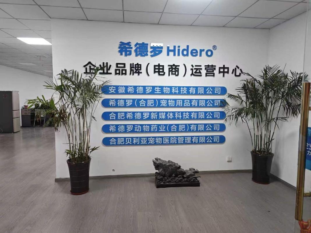 合肥市包河区望江东路9号星隆购物广场商业楼903部分（约360平方米）商业房产出租公告(国资监测编号GR2026AH2002255)