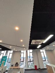 武汉市洪山区东湖高新技术开发区软件新城花城汇2号楼19层整体招租（租期3年）(国资监测编号GR2026NM1003762)