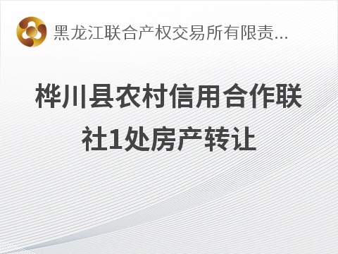 桦川县农村信用联社1处房产转让交易公告(国资监测编号GR2026HL2005363)