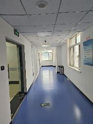 呼和浩特市锡林南路209号办公楼主楼10-11层整体招租（租期3年）(国资监测编号GR2026NM1003761)