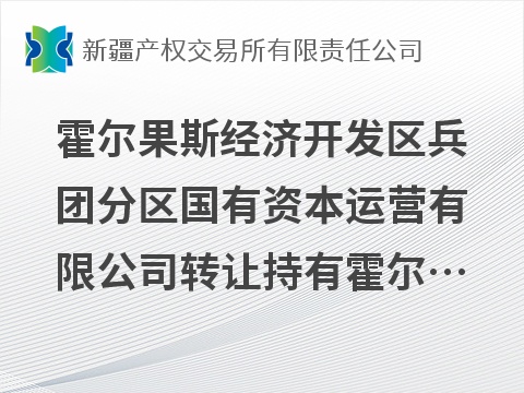 霍尔果斯经济开发区兵团分区国有资本运营有限公司转让持有霍尔果斯驭龙电焰科技有限公司10%股权(国资监测编号G32026XJ1000061)