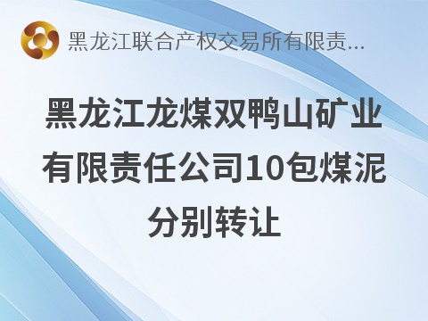 黑龙江龙煤双鸭山矿业有限责任公司10包煤泥分别转让交易公告