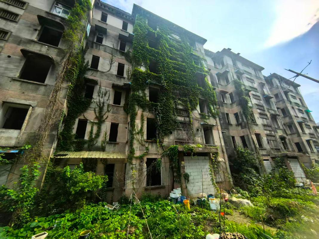芜湖市镜湖区绿影新村41栋共计45套住宅用房整体转让公告(国资监测编号GR2026AH2002276)