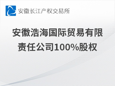安徽浩海国际贸易有限责任公司100%股权转让公告(国资监测编号G32026AH2000032)