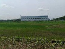 东海开发区长江南路、黄山路东侧的工业用地转让交易公告(国资监测编号GR2026JS3003383)
