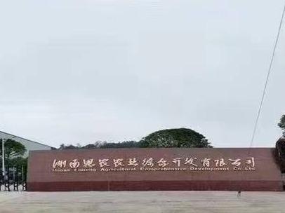 宁乡市回龙铺镇金玉工业集中区金旺路闲置厂房招商公告