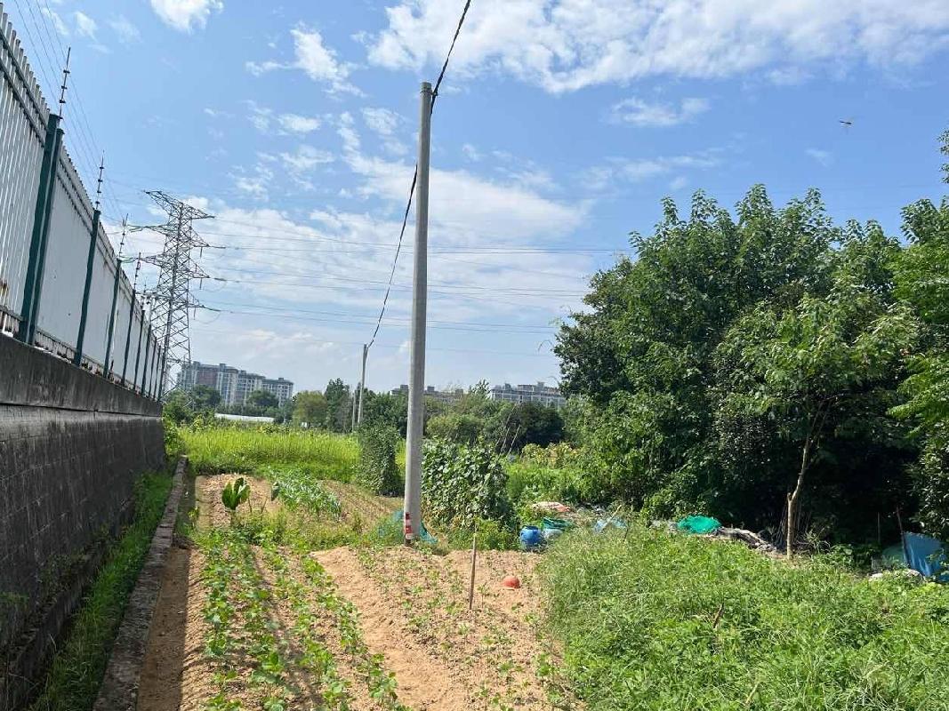 衢州市衢化东路以西变电站两侧土地及大棚公开挂牌招租