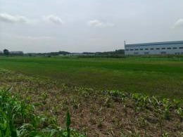 东海开发区长江南路、黄山路东侧的工业用地转让交易公告(国资监测编号GR2026JS3003383)