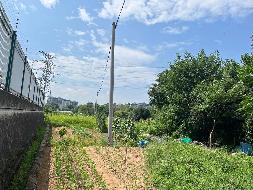 衢州市衢化东路以西变电站两侧土地及大棚公开挂牌招租