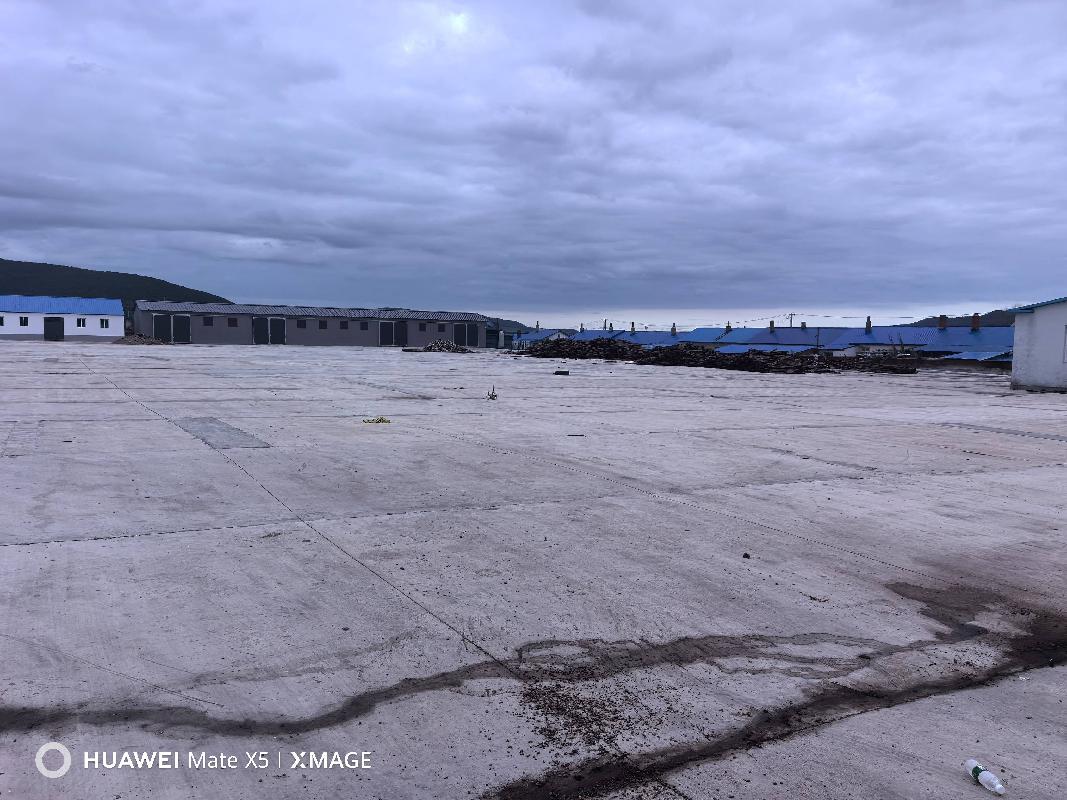 宜里农牧场分公司2025年欠发达项目水泥晒场2出租（租金底价：16180.38元，租期6个月）(国资监测编号GR2026NM1003919)