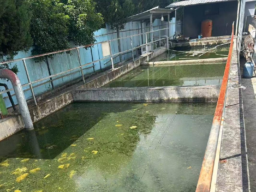 黄山市屯溪区阳湖镇帅鑫工业园原黄山盛红织造有限公司内拟拆除建筑物、附属物及设备残值转让公告(国资监测编号GR2026AH2002291)