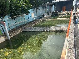 黄山市屯溪区阳湖镇帅鑫工业园原黄山盛红织造有限公司内拟拆除建筑物、附属物及设备残值转让公告(国资监测编号GR2026AH2002291)