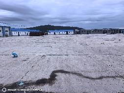 宜里农牧场分公司2025年欠发达项目水泥晒场2出租（租金底价：16180.38元，租期6个月）(国资监测编号GR2026NM1003919)