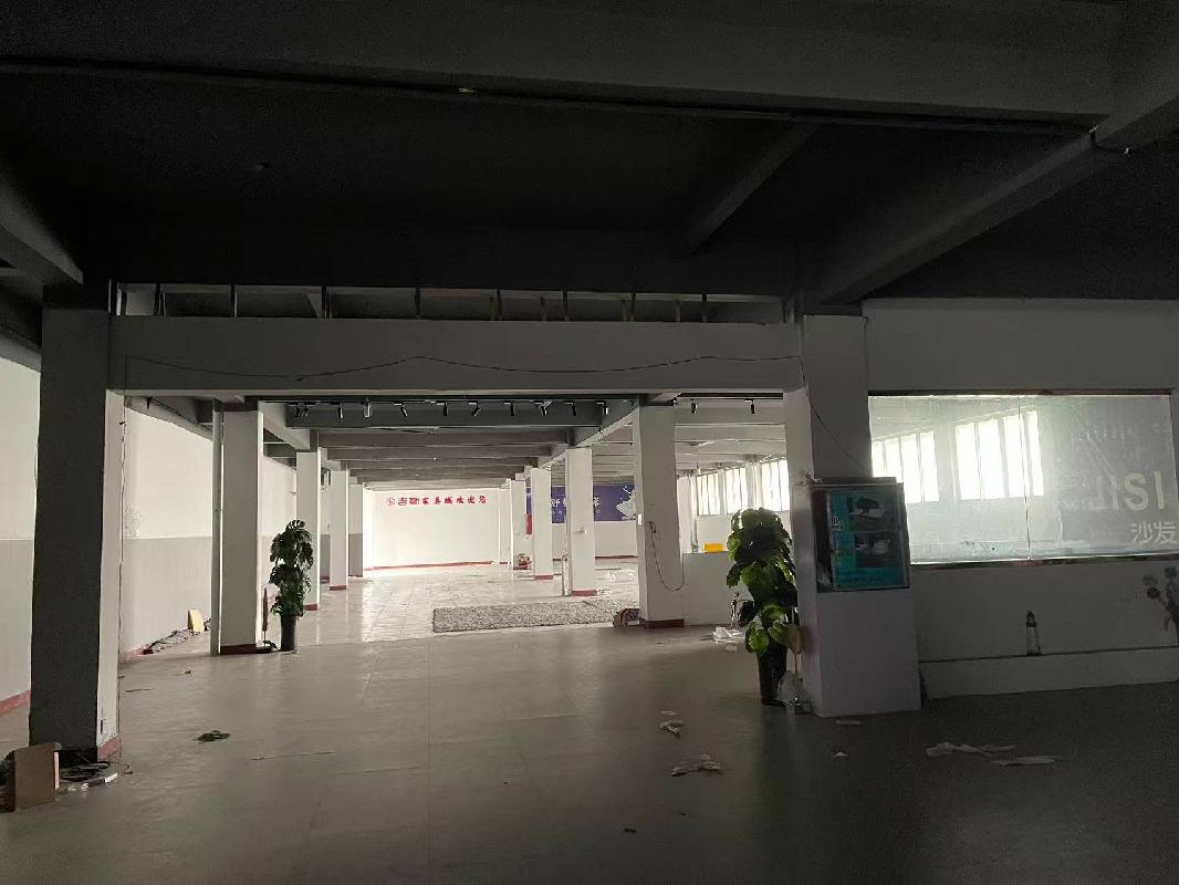 江苏徐州沛县东风路饮服综合楼1-2层房产招租公告(国资监测编号GR2026JS4003397)