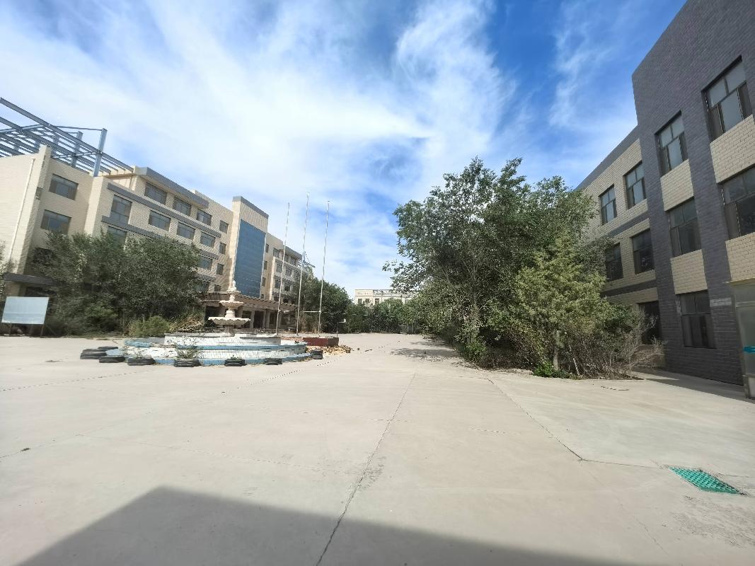 甘肃省张掖市甘州区一宗工业用地使用权及地上建筑物整体转让项目公告