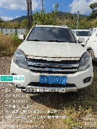 机动车一批