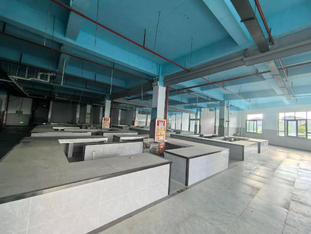 芜湖市鸠江区伟星珑胤台市场出租公告(国资监测编号GR2026AH2002329)
