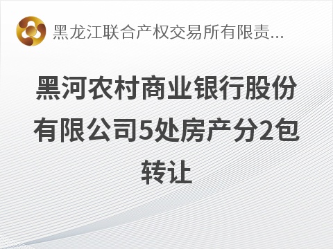 黑河农村商业银行股份有限公司5处房产分2包转让交易公告