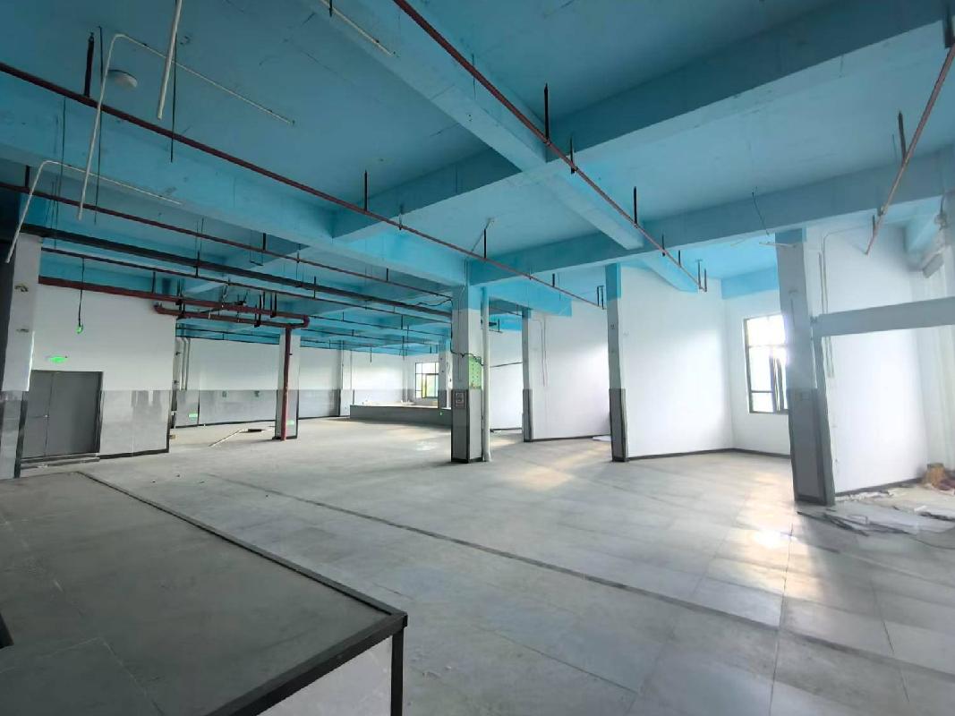 芜湖市鸠江区伟星珑胤台市场出租公告(国资监测编号GR2026AH2002329)