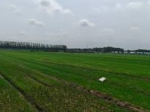 东海开发区长江南路、黄山路东侧的工业用地转让交易公告(国资监测编号GR2026JS3003440)