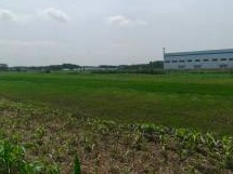东海开发区长江南路、黄山路东侧的工业用地转让交易公告(国资监测编号GR2026JS3003440)