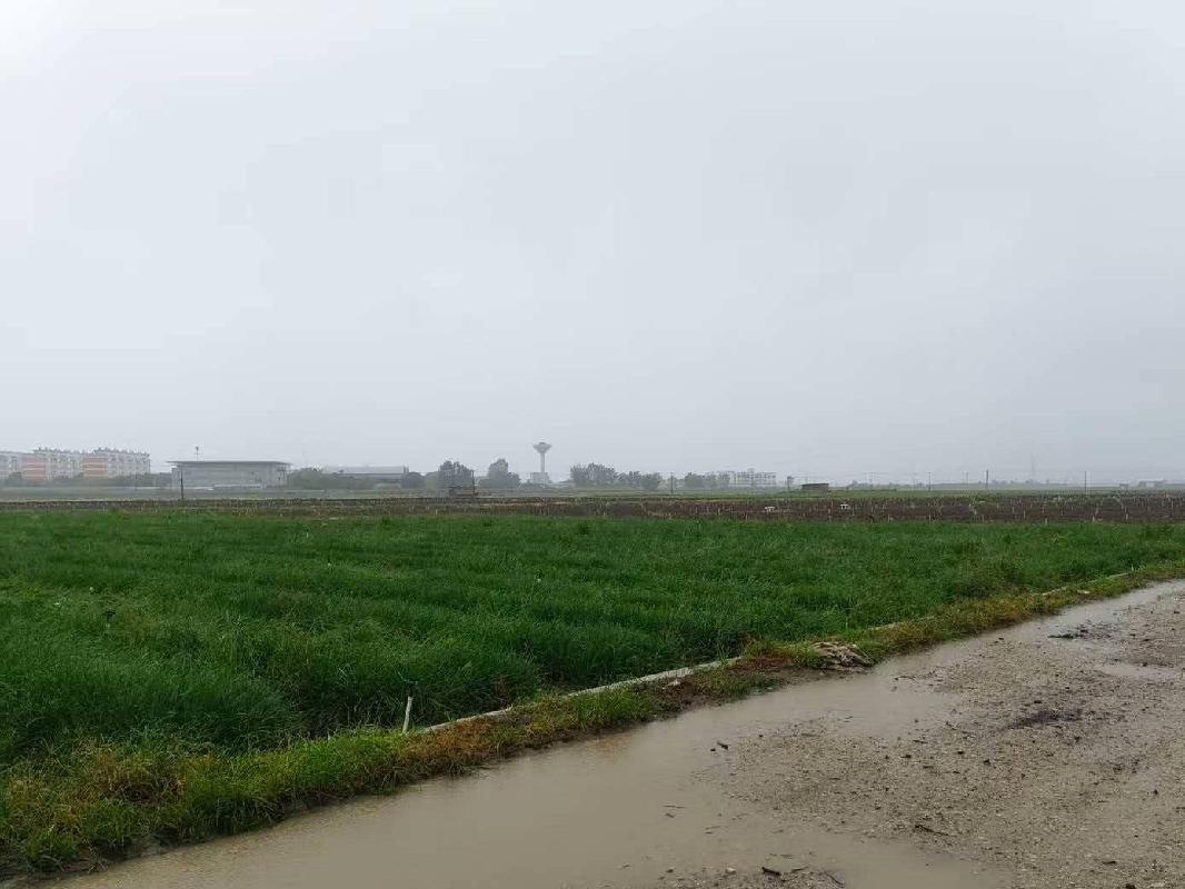 红河州蒙自市草坝镇一宗土地租赁(国资监测编号GR2026YN1000665)