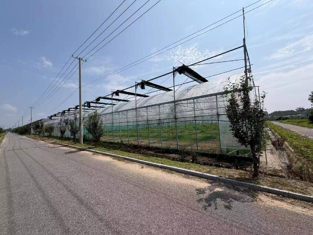 江苏徐州睢宁县梁集镇示范园区1#连栋薄膜温室招租项目公告(国资监测编号GR2026JS4003436)