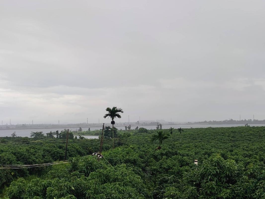 [海口市]海口市三江镇丁荣水库南侧3宗土地使用权（含地上经济作物）分别公开招租
