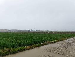 红河州蒙自市草坝镇一宗土地租赁(国资监测编号GR2026YN1000665)