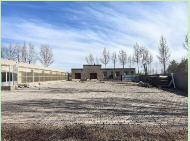 伊金霍洛旗根皮庙村高效节能温室蔬菜基地招租，年租金底价28199元/年，租期三年（鄂尔多斯市诚泰建设有限公司）(国资监测编号GR2026NM1004066)