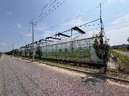 江苏徐州睢宁县梁集镇示范园区1#连栋薄膜温室招租项目公告(国资监测编号GR2026JS4003436)